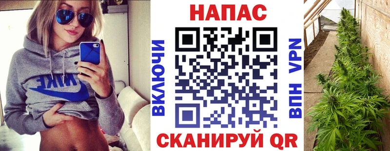 Наркошоп купить Бутират  Меф  Альфа ПВП  Канабис  Амфетамин  Экстази  ГАШИШ  COCAIN  Галлюциногенные грибы  Отрадный