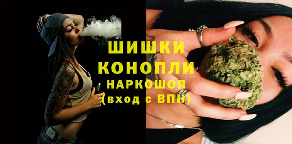 молекула духа Михайловск