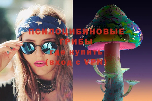 дурь Михайлов