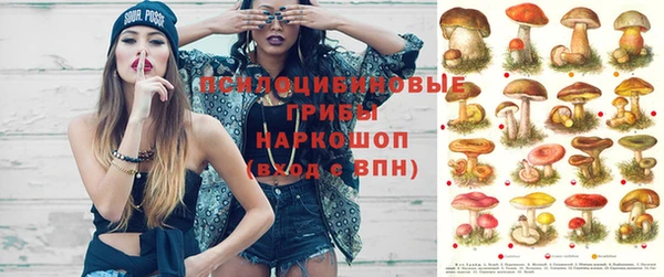 молекула духа Михайловск