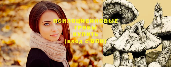 дурь Михайлов