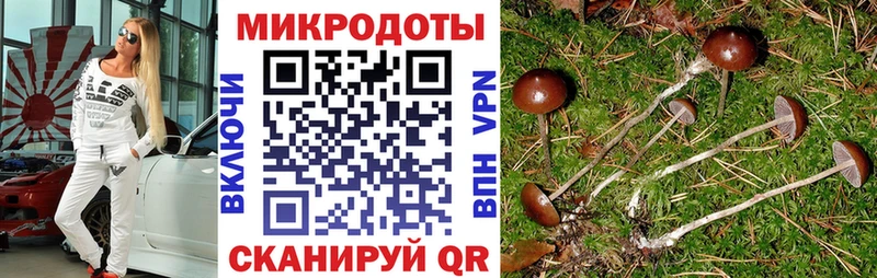 Псилоцибиновые грибы прущие грибы  Купить где  Отрадный 