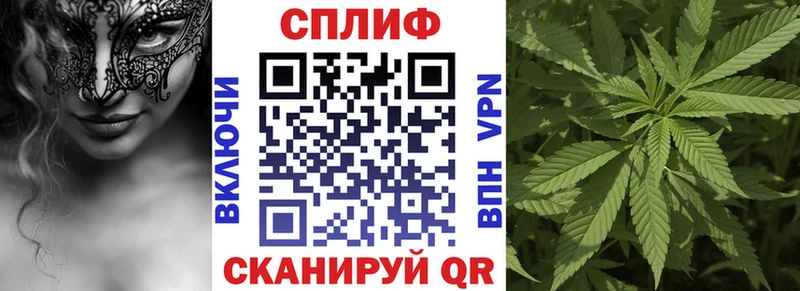 Конопля гибрид  Купить где  Отрадный 